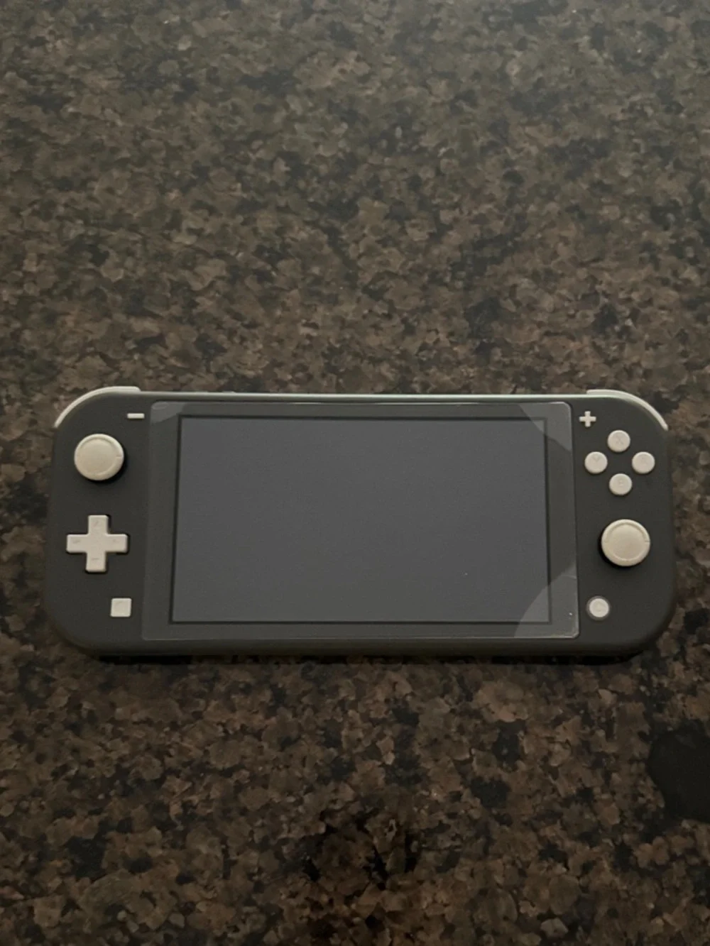 Handheld Gaming Console - Gray Nintendo Switch Lite Video Game System